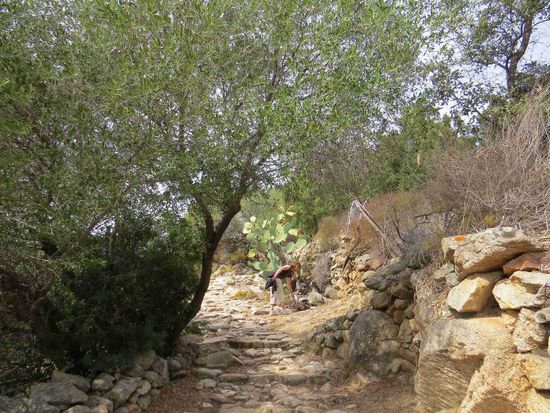 Der Weg nach Speloncato......