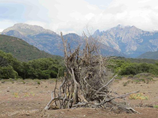 Blick vom Strand der Fangomündung auf das Gebirge