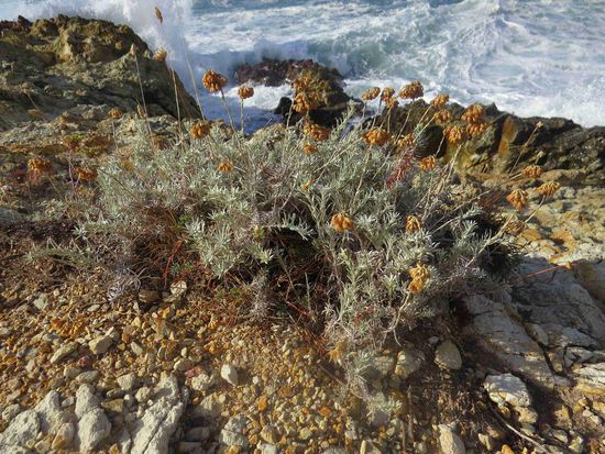 Steilkküste bei Galeria