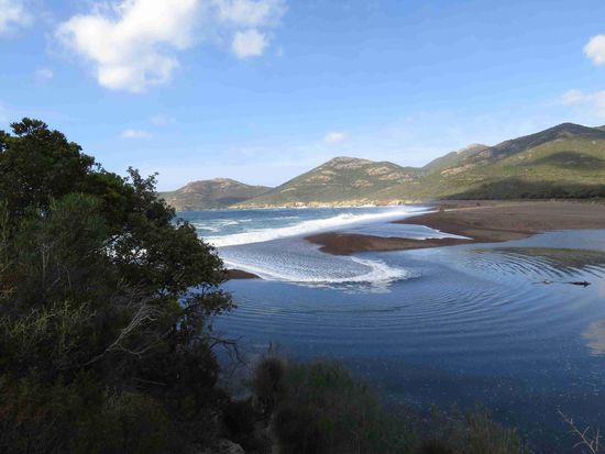 Der Riccinato-Strand (Fango-Mündung)