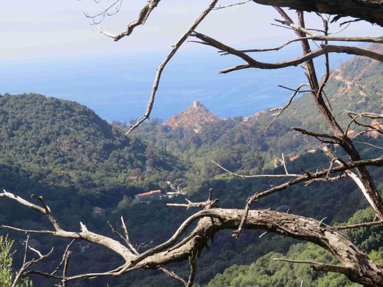 Blick in die Bucht von Porto