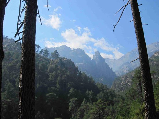 Blick aus der Restonica-Schlucht auf die Berge