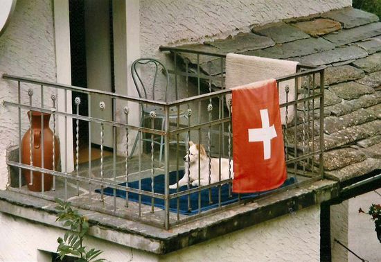 1.August: Auch der Hund feiert Nationalfeiertag