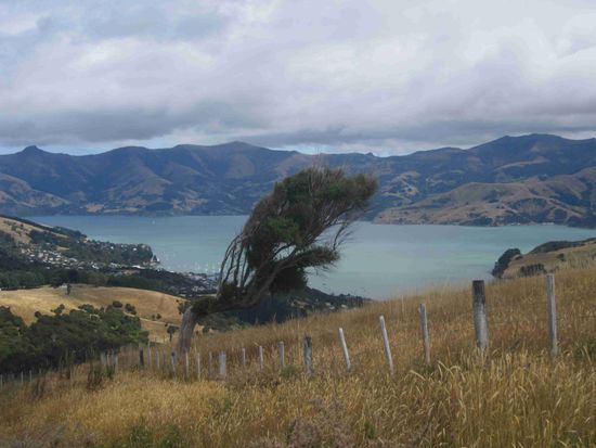 Banks Peninsula mit Blick auf die Bucht von Akaroa