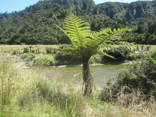 Paparoa Nationalpark