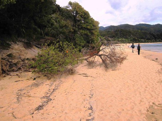 Coastal 'Track im Abel-Tasman-Nationalpark