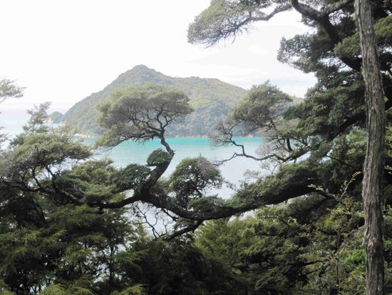 Coastal Track im Abel-Tasman-Nationalpark
