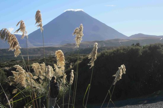 Der Ngaurohe ("Schicksalsberg")