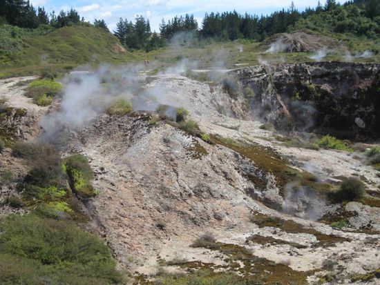 Es dampft bei "Crater of the moon" nördlich des Lake Taupo