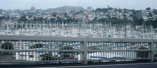 Auckland, die "City of sails" (Nordinsel)