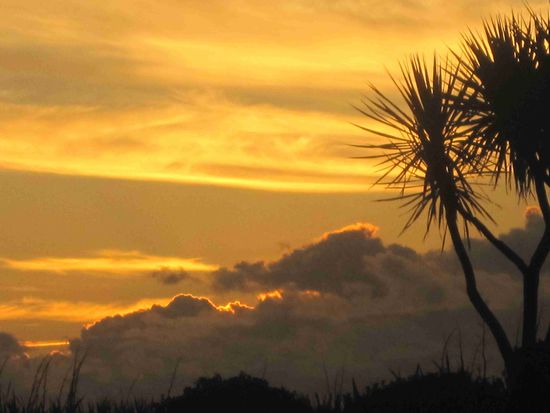 beim Abel-Tasman-Nationalpark
