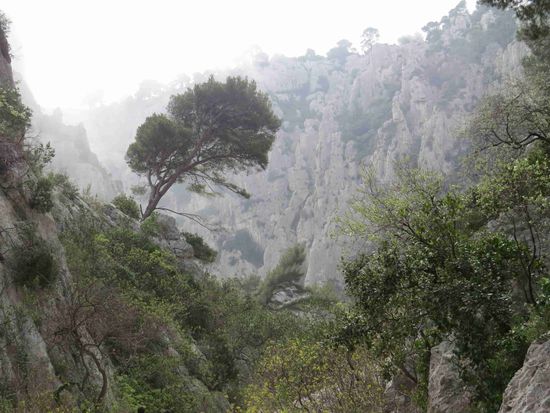 .....in den Schluchten