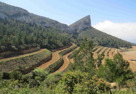 An Feldern vorbei Aufstieg zum Cap Canaille