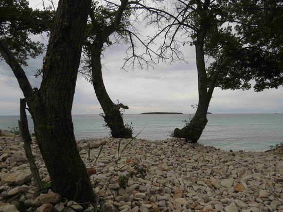 Bäume, Kalkstein und Meer bei Bale
