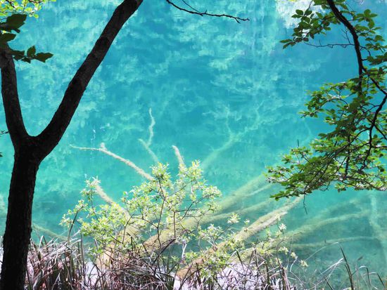 Plitvice: Blaues Wasser und versunkene Bäume