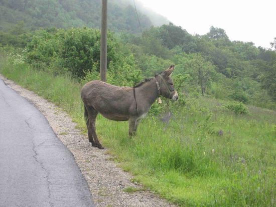 Rückfahrt durchs Bergland bei Plitvice