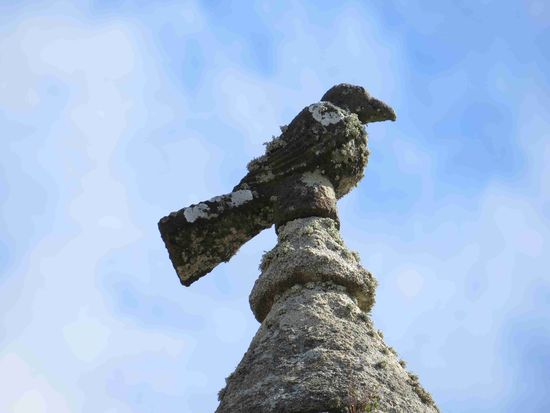 und einen Vogel gibt's auch noch