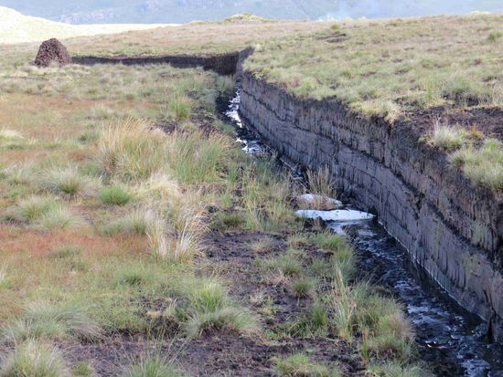 die Spuren des Torfabbaus