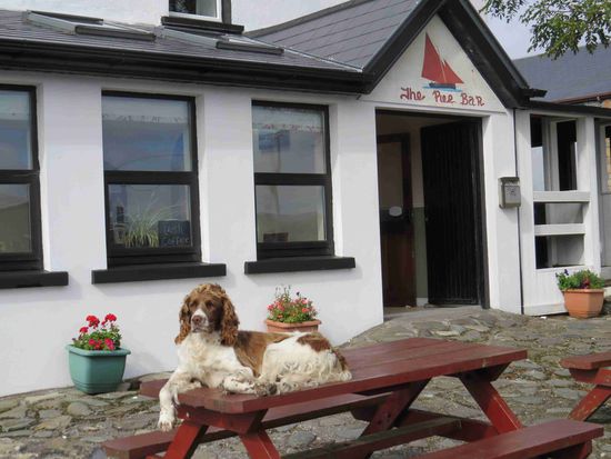 Müder Hund vor der Bar