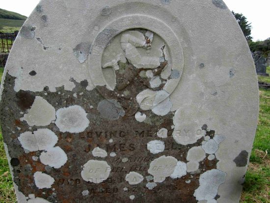 der Zahn der Zeit....