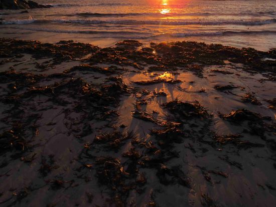 Sogar der Tang wirkt jetzt pittoresk....