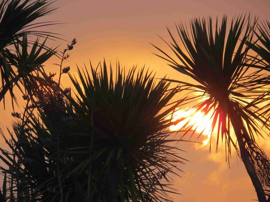 Südseestimmung beim Sonnenaufgang in Irland - Roslare Strand