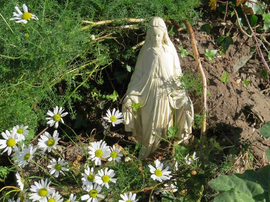 Madonna mit Margeriten auf Lady's Island