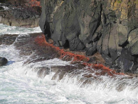 auch hinter dem Causeway ist die Küste immer noch spannend....