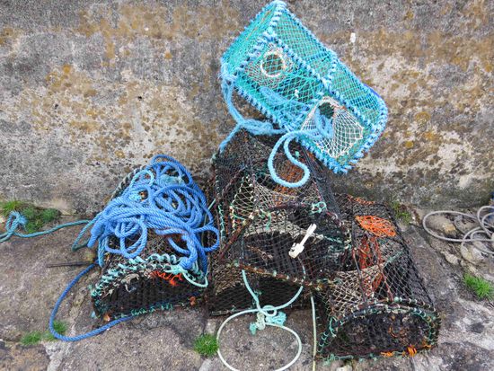 pittoreske Himmerkörbe