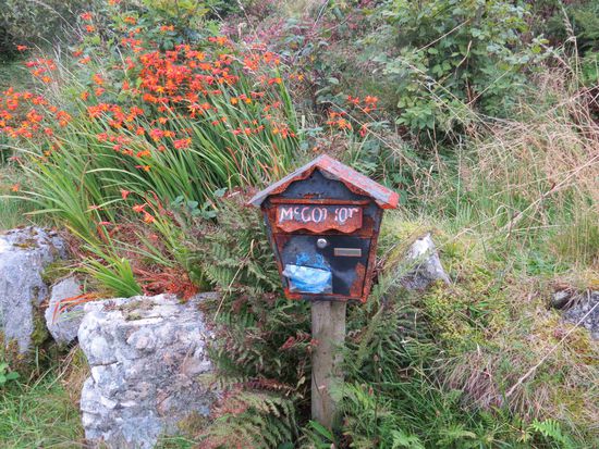 "toter Briefkasten" (Montbretien gibt's sogar im hohen Norden!)