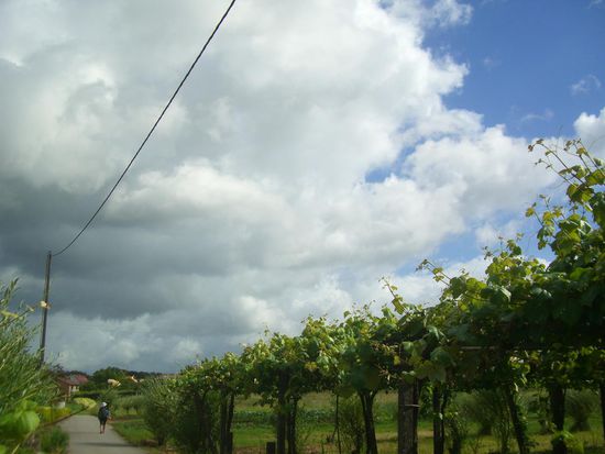 Viiiel Wind! Einiges an Regen, aber auch viel Sonne! Der Wind bläst uns voran.