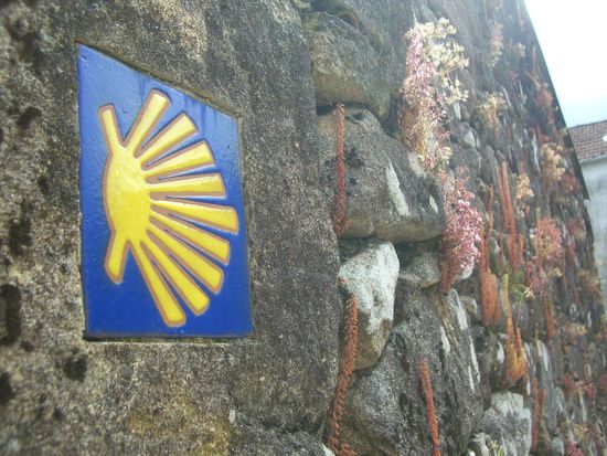 Weiter geht´s auf die letzten Kilometer!