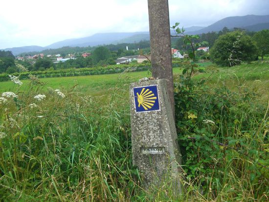 Nur noch 14 Kilometer!