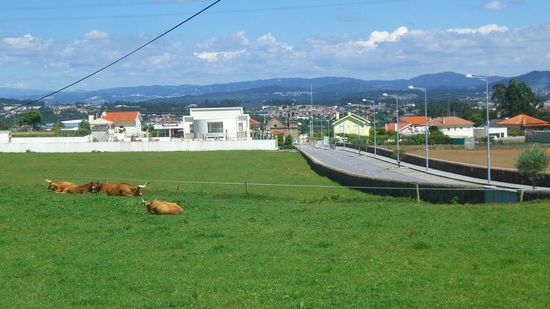 Letzter Blick auf Barcelos