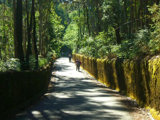 ... oder durch malerisch bemooste Hohlwege.