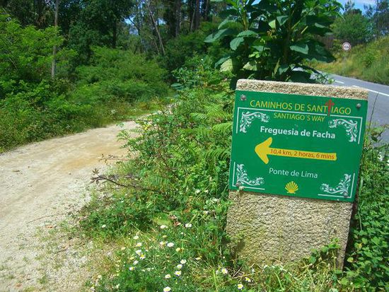 NOCH 10 Kilometer?!!? Ab hier habe ich angefangen, mit Fröschen und Schmetterlingen zu reden, um mich bei Laune zu halten, den Weg zu verfluchen oder seine Schönheit zu loben - aber zum Glück ging es von nun an sanft bergab.