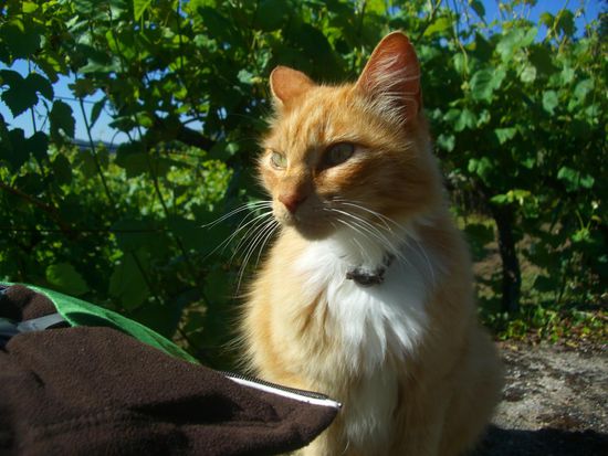 Pause mit neuer Wegbekannschaft