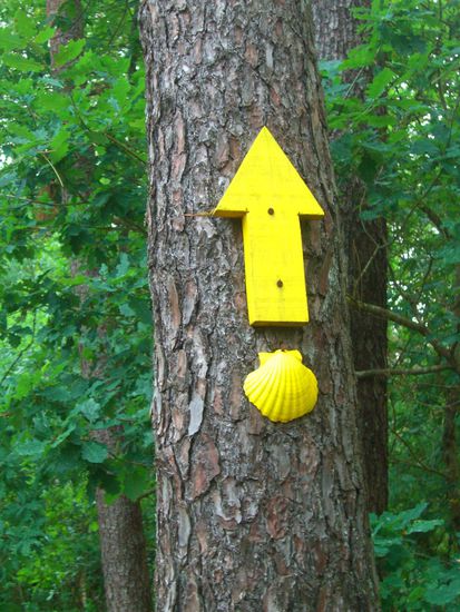 Immer wieder neue Wegweiser.