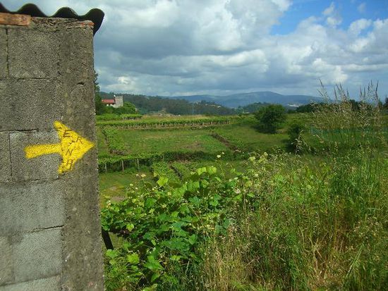 Aber dann kommt wieder die Sonne raus! Und die letzten Kilometer bis Pontevedre sind schnell geschafft.