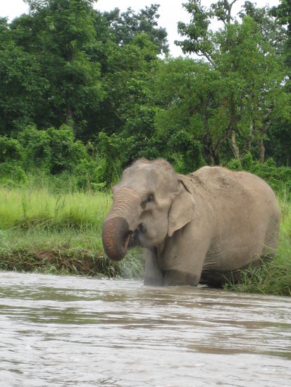 Chitwan Nationalpark