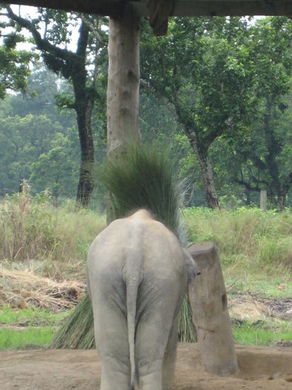 ...dieses Bild mag ich besonders, schließlich muss man respektieren, wenn jemand nicht fotografiert werden will