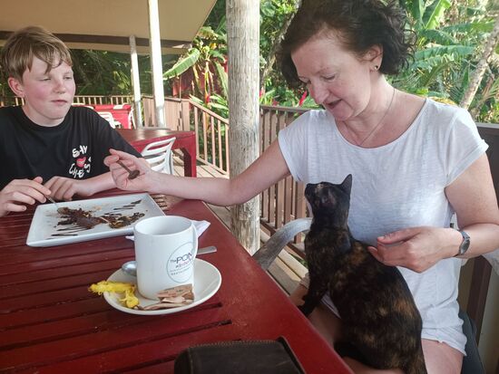 Eine Katze meinte, auch teilhaben zu dürfen.