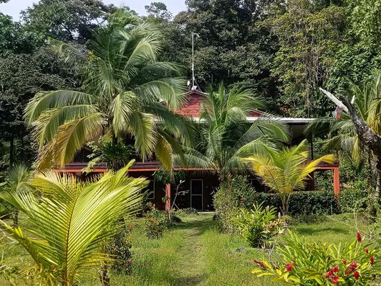 Versteckt hinter Palmen, das Haupthaus, unser Zimmer im Erdgeschoss...leider nicht so wie erwartet...das Besitzerpärchen hat dort eine Menge zu tun (Bad...und das gesamte Zimmer war irgendwie muffig). Und es war ein bisschen wie im Bahnhof...jeder Vorbeigehende konnte reinschauen.