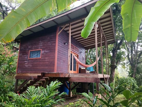 Die neueren Bungalows auf halber Höhe (alles nur 2er Bungalows) sind erst wenige Jahre alt, haben einen schönen Ausblick und sind bestimmt auch innen auf dem aktuellen Stand.
Also wenn ihr zu zweit seid und Ataraxia bucht...habt ihr ganz sicher eine bessere Grundlage.