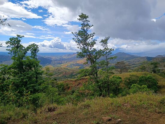 Traumhafte Landschaft und viel trockener als nördlich des Gebirges.