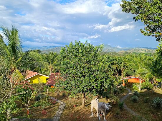 Mit Blick in den Garten und die Berge.