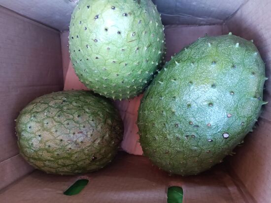 Und noch etwas uns Unbekanntes - keine Ahnung, was das ist.