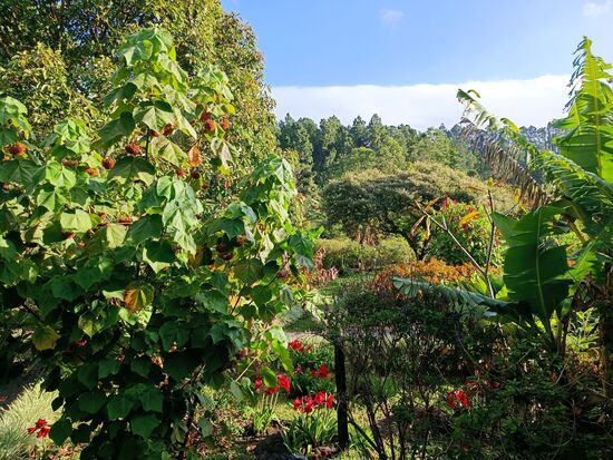 Unser morgendlicher Ausblick aus dem Bungalow.