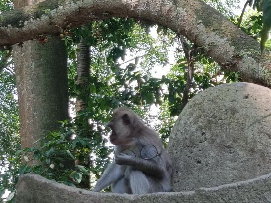 Schon der erste Brillendieb.