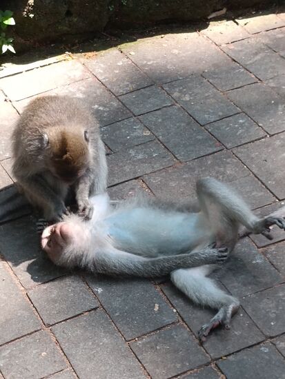 Hier ist Entspannung angesagt...